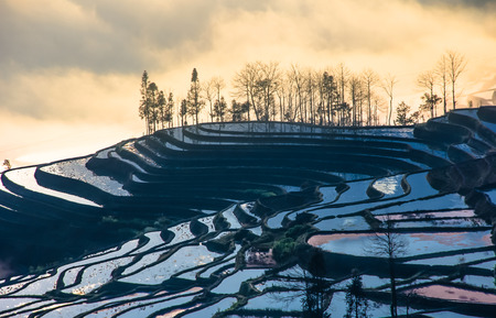 Yuanyangtitianの写真素材