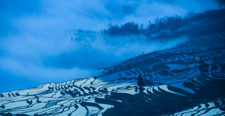 Yuanyangtitianの写真素材