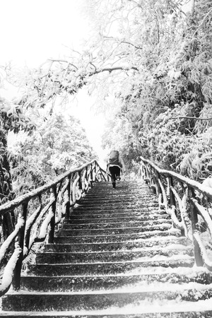 Hikingの写真素材