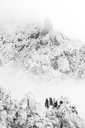 Winterの写真素材