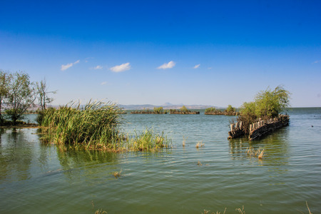 Waterscape
