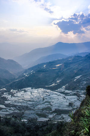 Terrace field at Yuanyang, Yunnanの写真素材