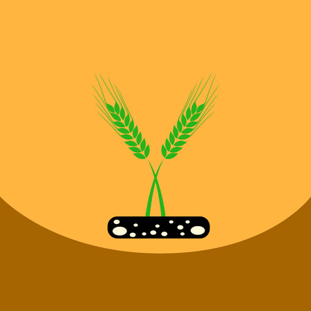 flat vector icon design collection  ears of wheatのイラスト素材