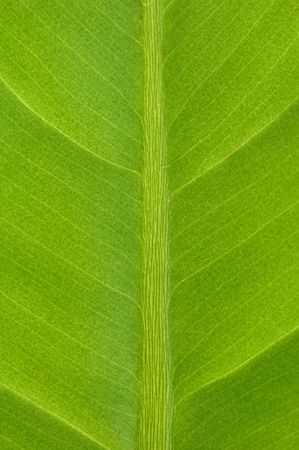 beautiful macro of a sheet structureの写真素材