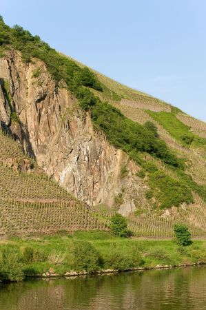 moselle - germany - vineyardsの写真素材
