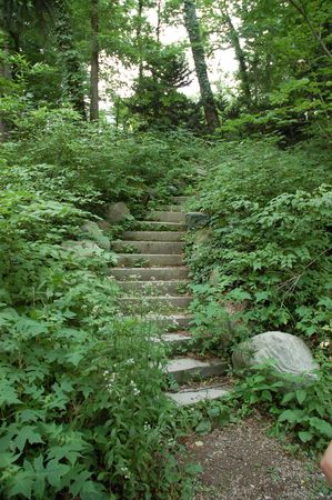 Steps