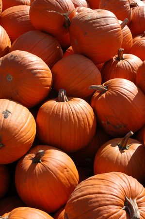 Pumpkins IV