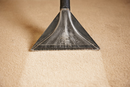 Professionally Cleaning Carpets Professionally Cleaning Carpets