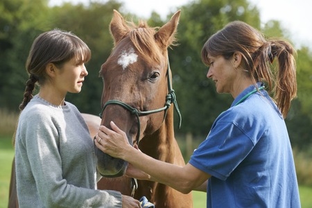 Female Vet Examining Horse In Field With Ownerの写真素材