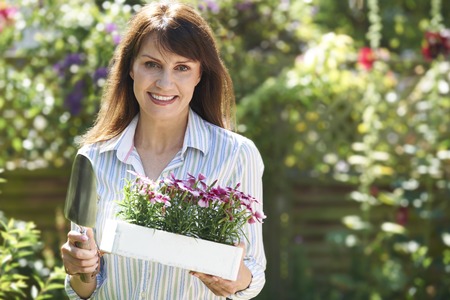 Middle Aged Woman Planting Flowers In Gardenの写真素材