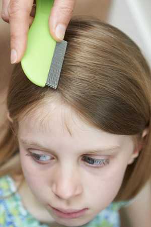 Mother Checking Daughters Hair For Head Louseの写真素材