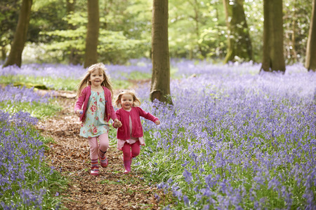 Two Girls Running Through Bluebell Woods Togetherの写真素材