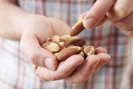 Close Up Of Man Eating Healthy Snack Of Brazil Nutsの写真素材