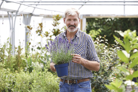 Portrait Of Mature Man Choosing Plants At Garden Centerの写真素材