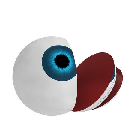 3d eyeball split into several parts, isolatedの写真素材