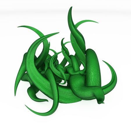 Green 3d vine plant model, over whiteの写真素材