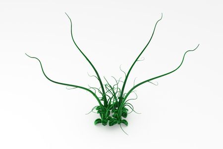 Bunch of green 3d vines, isolated, horizontalの写真素材