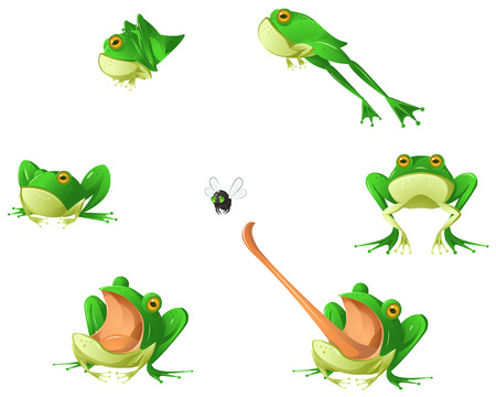 Frog cartoon design element set, isolated vectorのイラスト素材