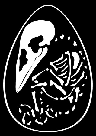 Hatchling bird skeleton inside egg, vector, vertical, black background, isolatedのイラスト素材