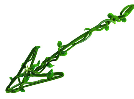 Plant vines green growing twisting arrow shape, 3d illustration, horizontal, isolated, over white