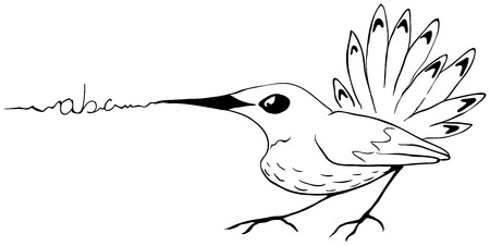 Message writing bird line drawing, vector, horizontal, over whiteのイラスト素材