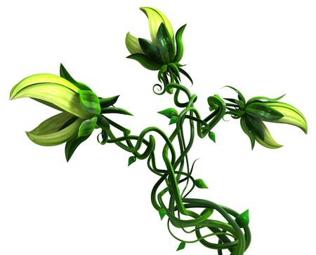 Plant growing green biting vine with three heads, 3d illustration, horizontal, isolated, over whiteの写真素材