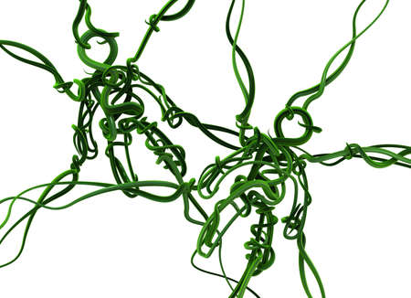 Plant vine figures green bind, 3d illustration, horizontal, isolated, over whiteの写真素材