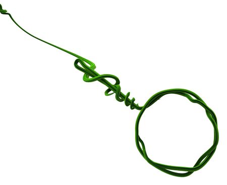 Plant vines green growing twisting magnify branch, 3d illustration, horizontal, isolated, over whiteの写真素材