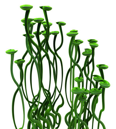 Plant vines green growing twisting tendril pads rising, 3d illustration, vertical, isolated, over whiteの写真素材