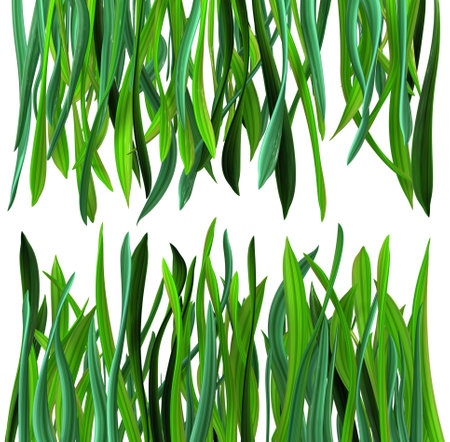 Plant vines green growing twisting grass rows above and below, 3d illustration, horizontal, isolated, over whiteの写真素材