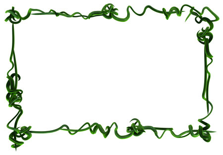Plant vines green growing twisting curl frame empty, 3d illustration, horizontal, isolated, over whiteの写真素材