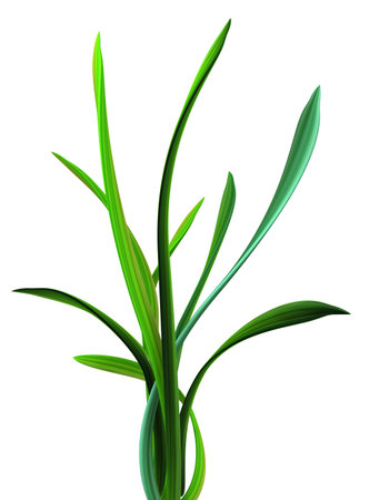 Plant vines green growing twisting grass bunch, 3d illustration, vertical, isolated, over whiteの写真素材