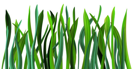 Plant vines green growing twisting grass row, 3d illustration, horizontal, isolated, over whiteの写真素材