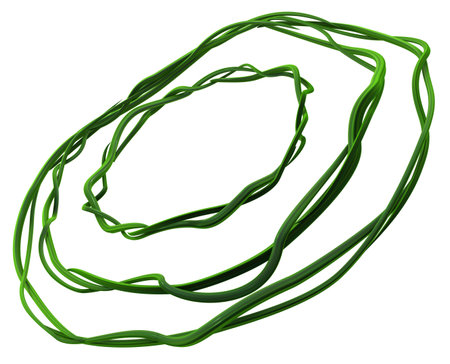 Plant vines green growing twisting concentric cycle, 3d illustration, horizontal, isolated, over whiteの写真素材