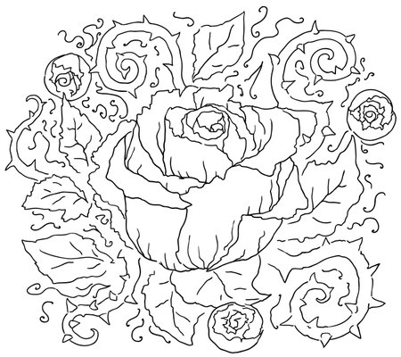 Rose flower decorative line drawing design, vector, horizontal, black and whiteのイラスト素材