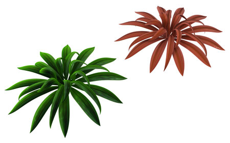 Plant vines green and red leaf stars, 3d illustration, horizontal, isolated, over whiteの写真素材