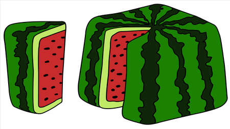 Square watermelon with slice, cartoon color vector illustration, horizontal, over white, isolatedのイラスト素材