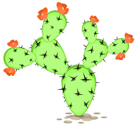 Cactus plant branching cartoon color vector illustration design element object, horizontal, over white, isolatedのイラスト素材