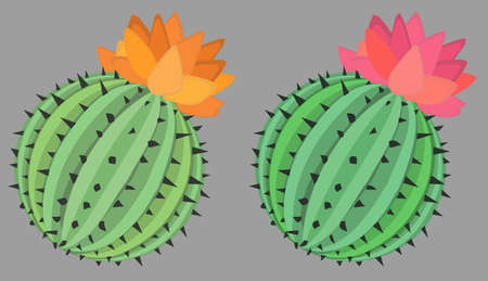 Cactus plant ball cartoon color vector illustration design element object, horizontal, over white, isolatedのイラスト素材