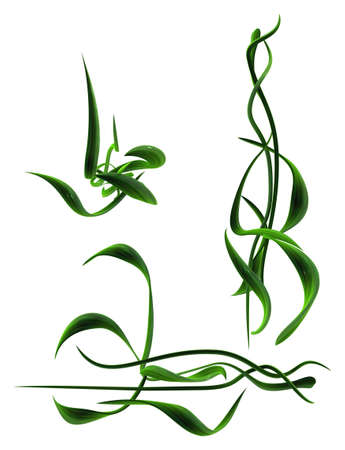 Plant vines green growing twisting leaf decoration part, 3d illustration, vertical, isolated, over whiteの写真素材