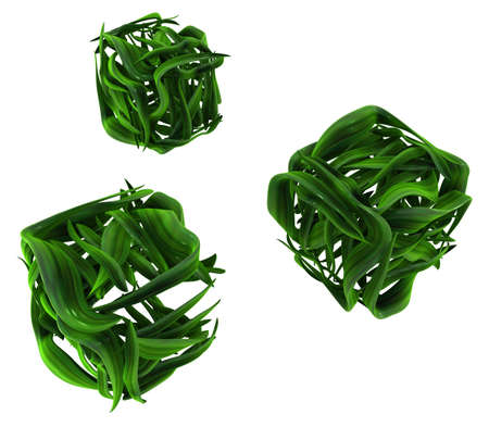 Plant vines green growing leaf box form, 3d illustration, horizontal, isolated, over whiteの写真素材