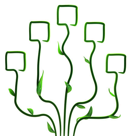 Plant vines green growing square tip bloom, 3d illustration, horizontal, isolated, over whiteの写真素材