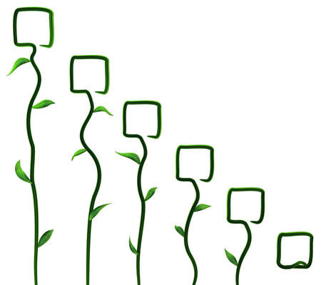 Plant vines green growing square tip bloom stages, 3d illustration, horizontal, isolated, over whiteの写真素材