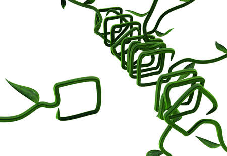 Plant vines green growing file square retrieve slot, 3d illustration, horizontal, isolated, over whiteの写真素材