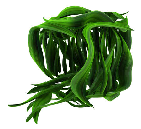 Plant vines green growing leaf box form open, 3d illustration, horizontal, isolated, over whiteの写真素材