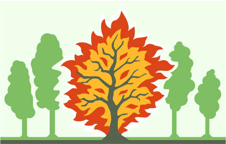 Single burning tree between others cartoon color vector illustration, horizontalのイラスト素材