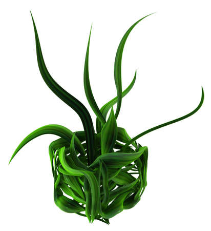 Plant vines green growing out leaf box form, 3d illustration, horizontal, isolated, over whiteの写真素材