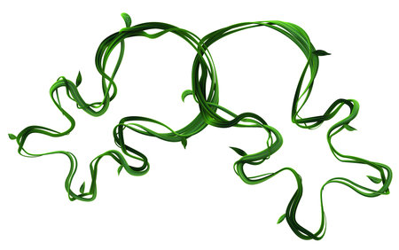 Plant vines green growing big head baby figures linked, 3d illustration, horizontal, isolated, over whiteの写真素材