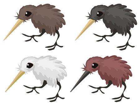 Kiwi bird cartoon design element with color variants, isolated vector, horizontalのイラスト素材