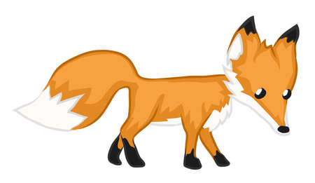 Fox cute cartoon color vector illustration, horizontal, over white, isolatedのイラスト素材